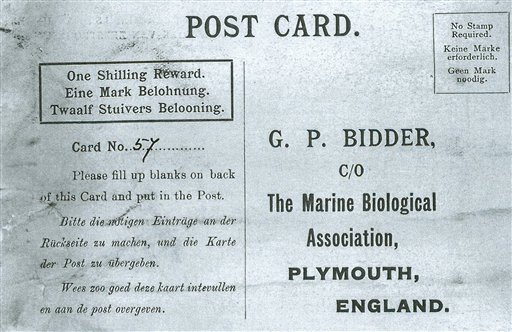 Foto de una postal colocada en una botella y lanzada al Mar del Norte por la Asociación de Biología Marina de Gran Bretaña, viernes 21 de agosto de 2015. Arrojada al Mar del Norte entre 1904 y 1906, la botella llegó a la playa de la localidad alemana de Amrum y fue hallada por una pareja en abril. En el interior había una postal que pedía que la enviaran a la Asociación de Biología Marina del Reino Unido y así lo hicieron.  (Marine Biological Association of the U.K. via AP) ONE TIME USE ONLY NO ARCHIVE  MANDATORY CREDIT.