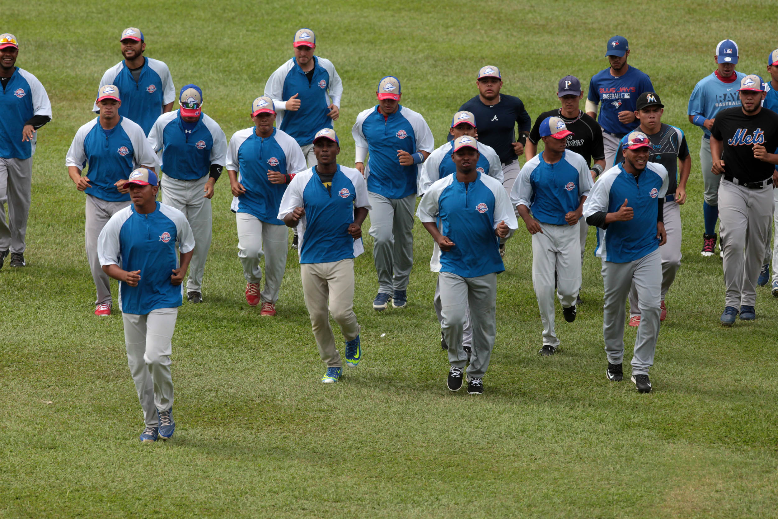 ¡No se quedan atrás! Tiburones de La Guaira también están en entrenamiento