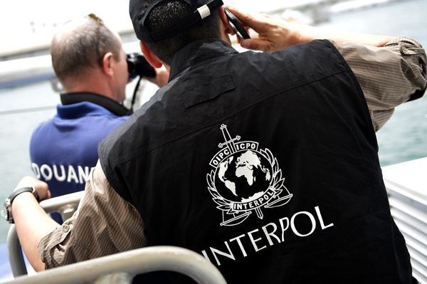Interpol exige más cooperación mundial contra el cibercrimen