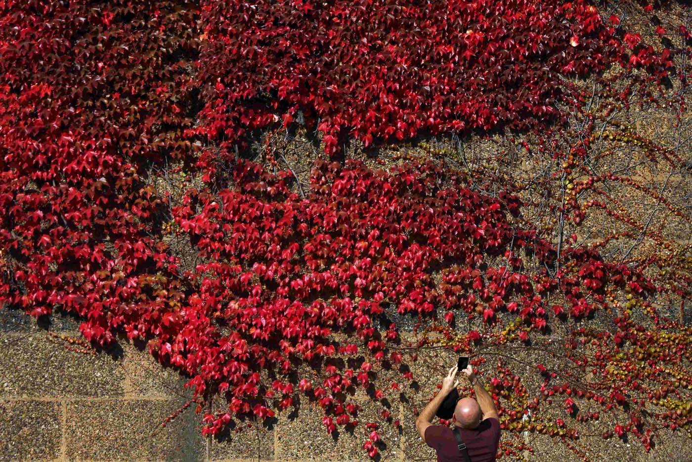 Los espectaculares colores del otoño (fotos)