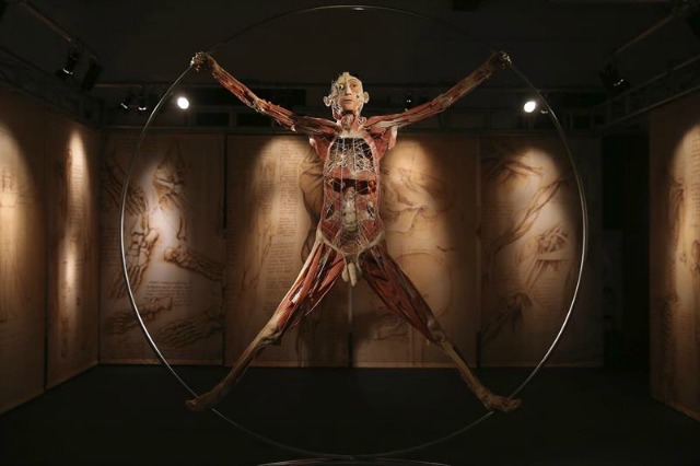 Vista de uno de los ejemplares de la la exposición Cuerpos Reales que empezará el próximo 31 de octubre, en la galería Cordoaria Nacional de Lisboa, Portugal, hoy 29 de octubre de 2015. EFETiago Petinga