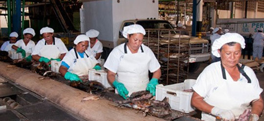 Por falta de insumos merma producción en enlatadora de pescados en Margarita