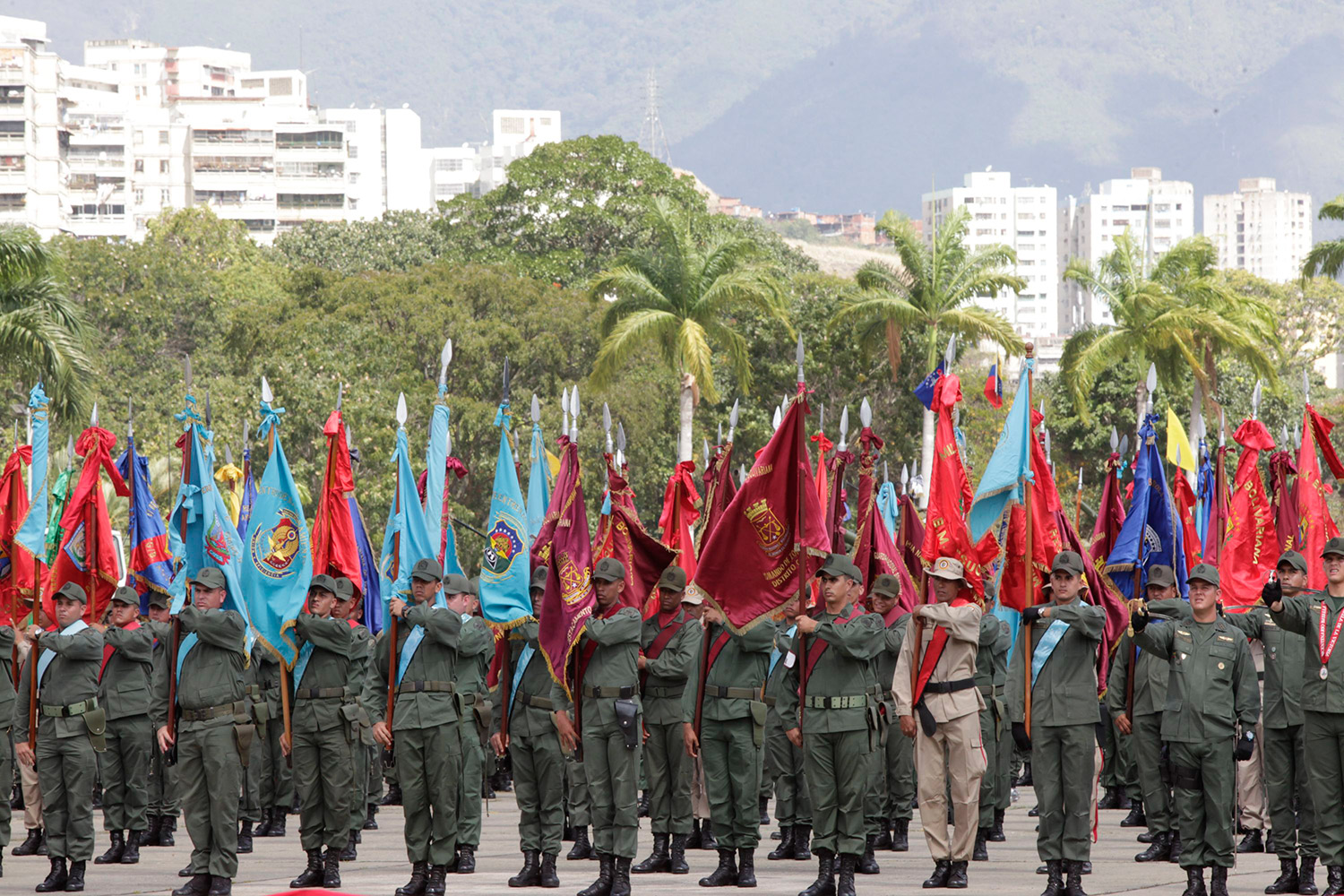 Ley Orgánica de Seguridad Social Negro Primero para la Fuerza Armada