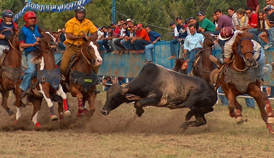 ¡Sin importar el legado! Gobierno realizó toros coleados en Los Próceres