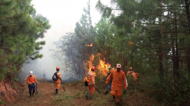 incendios-forestales