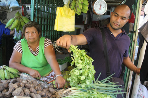 Precio de las hortalizas comenzaron el año por las nubes en Aragua