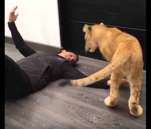 ¡Amor salvaje! Abrazo entre un león y un hombre conmueve las redes sociales