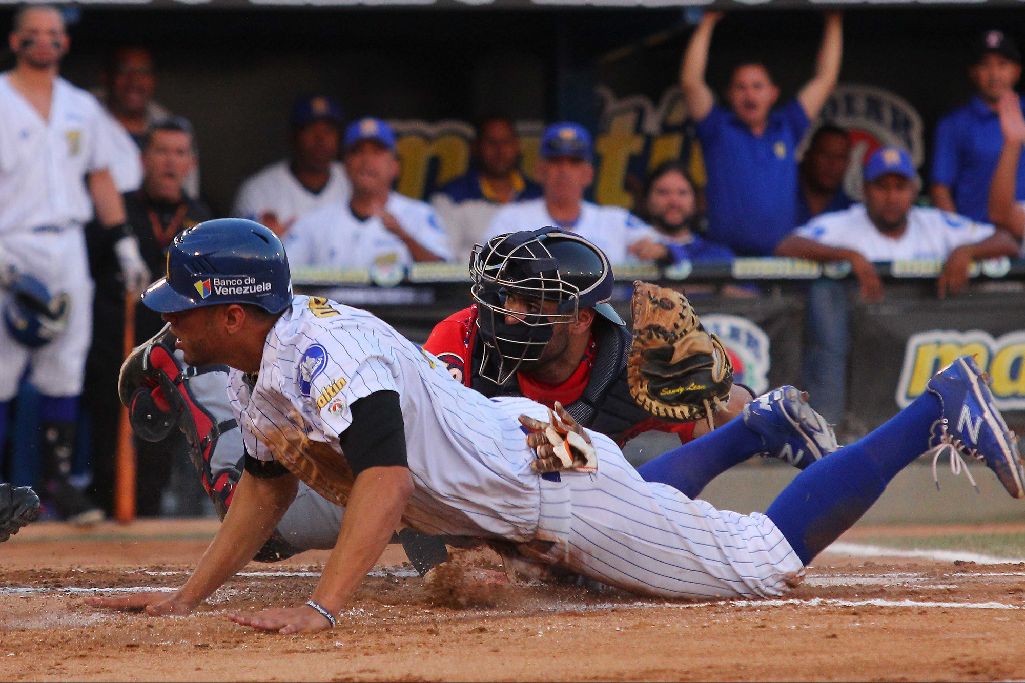 Magallanes derrotó en Valencia a los Tigres de Aragua 5 – 4