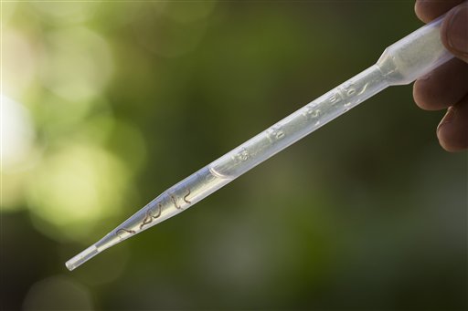 Confirman cinco casos de zika en Portugal