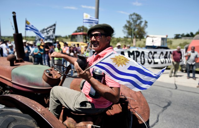 Ruben Darío Sánchez conduce su tractor durante una protesta de productores lecheros contra los aumentos de precios en los servicios públicos y en reclamo del pago de unos 100 millones de dólares que Venezuela adeuda al sector en Libertad, Uruguay, el martes 19 de enero de 2016. (AP Foto/Matilde Campodonico)