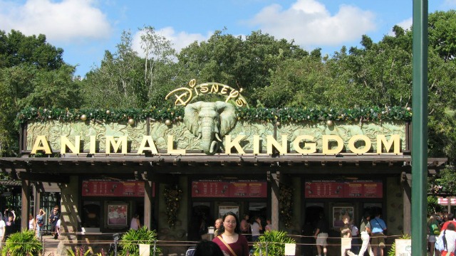 Disney World Animal Kingdom