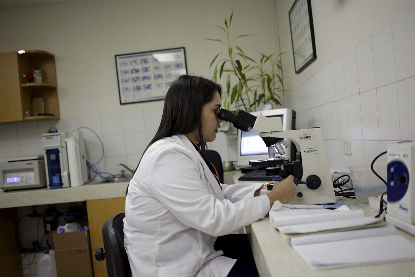 El zika llegó al continente americano en 2013, según estudio