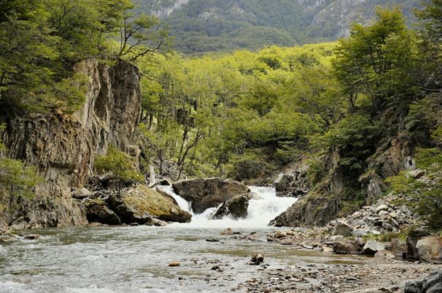 Furor en Ushuaia por conocer uno de los sitios donde se filmó El Renacido