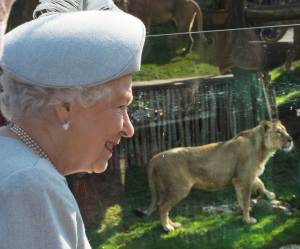 La reina Isabel II inaugura nueva guarida de leones en el zoológico de Londres (Fotos)