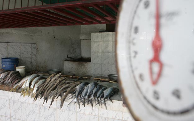 MARACAIBO,VENEZUELA; 22/03/2013 ECONOMIA LOS ZULIANOS VIVEN UN VIACRUSIS PARA ENCONTRAR PESCADO ECONOMICO Y FRESCO TRAS ACERCARSE LA SEMANA MAYOR EN LA GRAFICA PESCADO