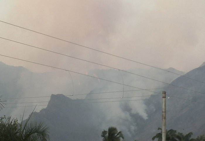 Hay ocho detenidos por provocar incendios en el parque Henri Pittier