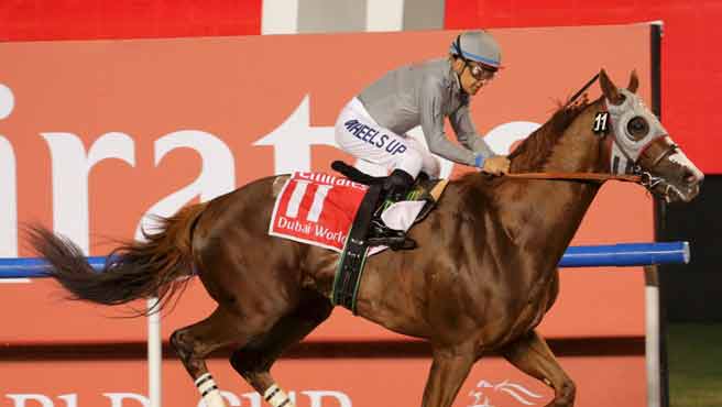 California Chrome ganó en las manos la Copa Mundial de Dubai