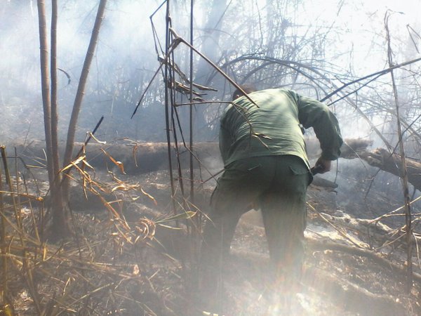 incendio maria lionza