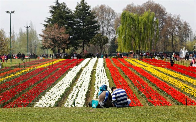 arias personas visitan el Jardín de los Tulipanes, a las afueras de Srinagar, capital de verano de la Cachemira india, hoy, 29 de marzo de 2016. Decenas de miles de tulipanes han florecido en los últimos días en este jardín, el segundo mayor jadrín de tulipanes de toda Asia, lo que ha creado una explosión de colores que anuncia la llegada de la primavera. EFE/Farooq Khan