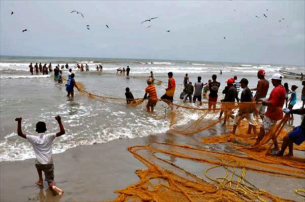 Comunidad en la costa de Falcón enfrenta la escasez de alimentos pescando