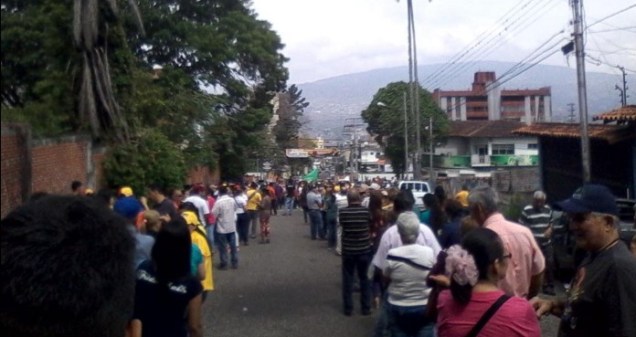 tachira