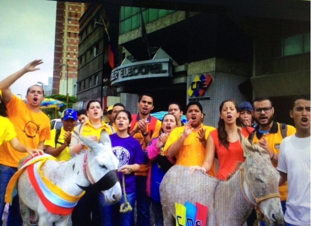 burro-protesta-maduro