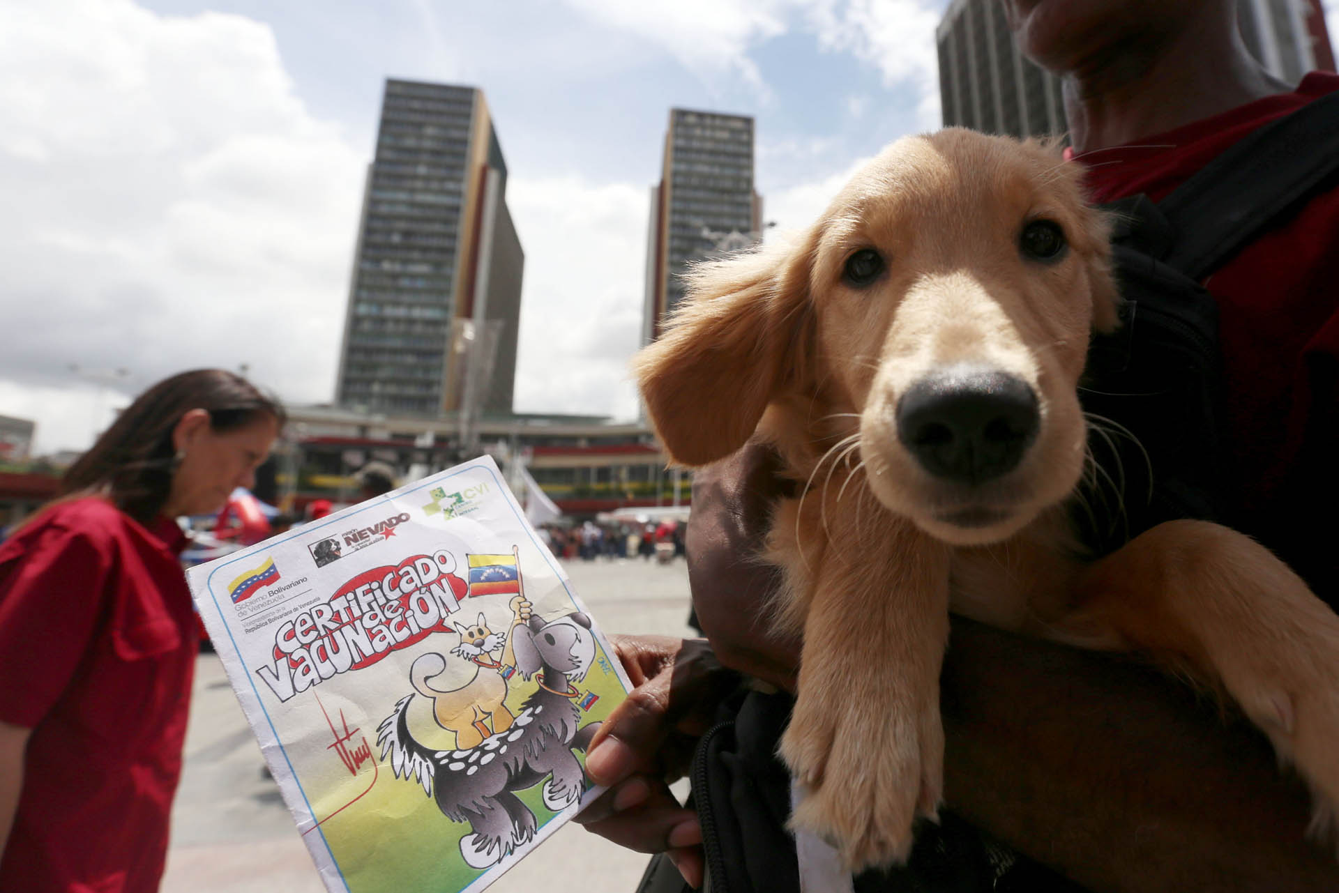 Cuatro gatos y un lindo perrito… en la des-concentración oficialista del #27Jul