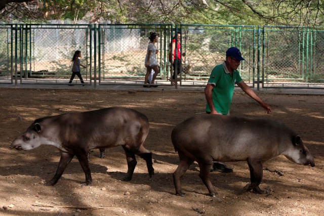 Zoologicos-Venezuela (3)