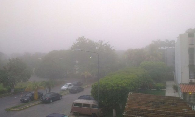 Neblina