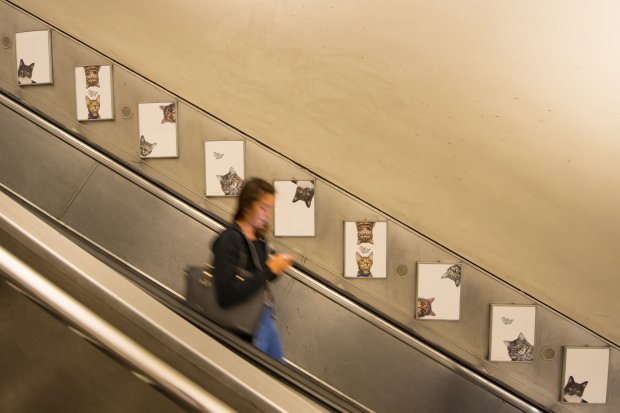 A passenger passes some of over 60 adverts in Clapham Common underground station, London, which have been replaced with pictures of cats as part of the ëCitizens Advertising Takeover Service, which aims to create a peaceful, unbranded space in the heart of London, free from commercial advertising. PRESS ASSOCIATION Photo. The posters feature cats from Battersea Dogs & Cats home and Cats Protection, as well as cats sent in by members of the public. Picture date: Monday September 12, 2016. Photo credit should read: Dominic Lipinski/PA Wire