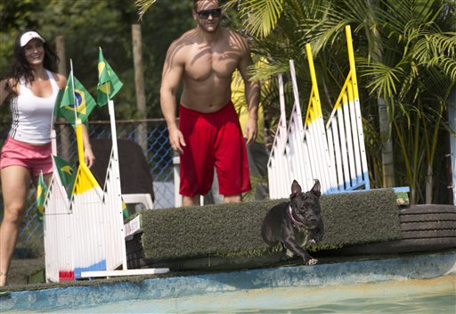 El can "Zaia" compite en la prueba de zambullida ante la vista de sus amos durante los Juegos Olímpicos para Perros en Río de Janeiro, Brasil, el domingo 18 de septiembre de 2016. El dueño del parque para canes y organizador de las competiciones, Marco Antonio Totó, dice que su objetivo es la socialización de las personas y sus mascotas mientras practican deportes. (AP Foto/Silvia Izquierdo)