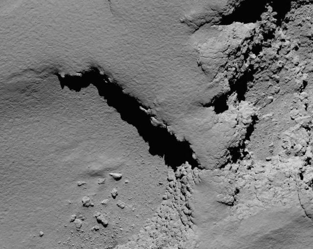 rosetta