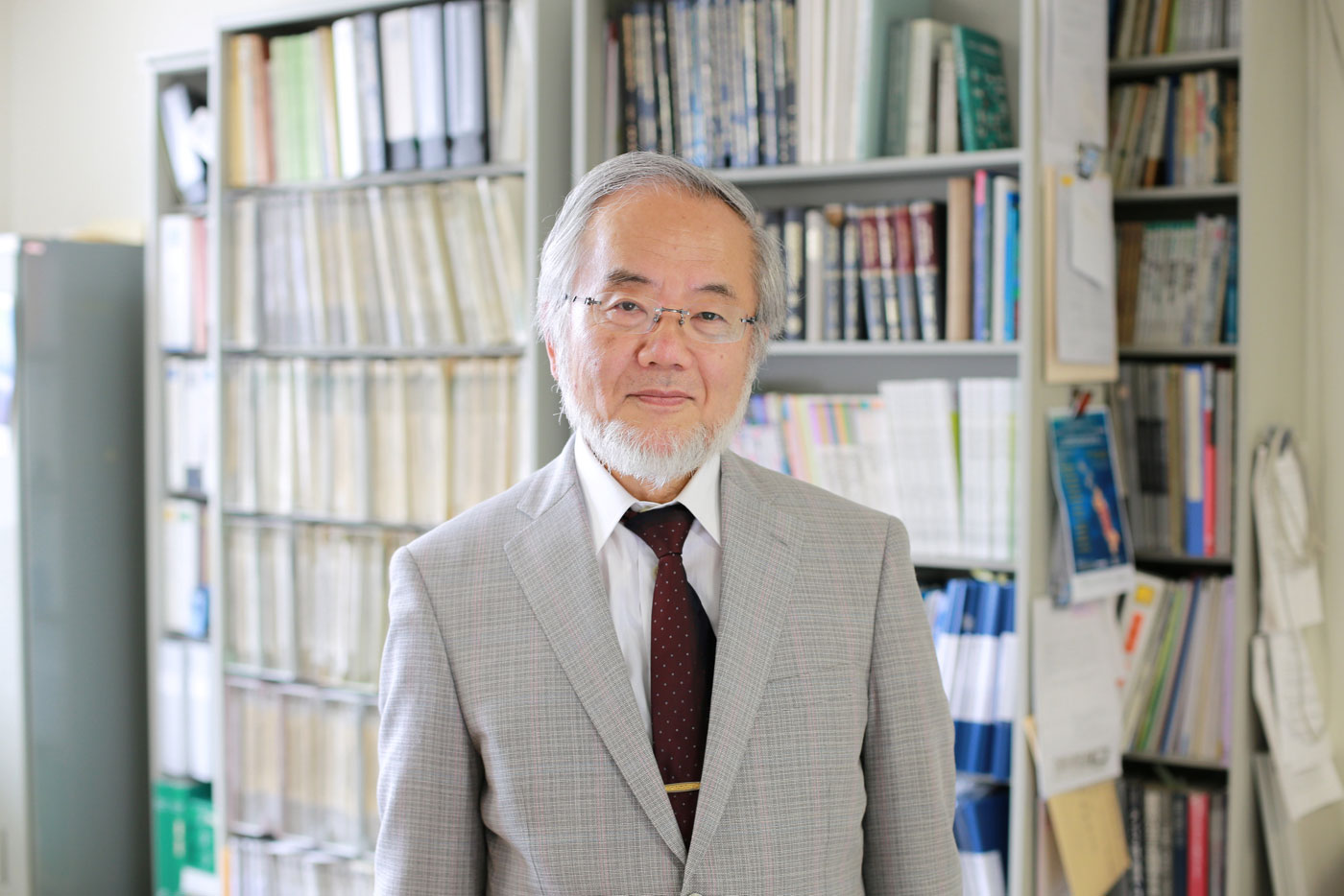 Nobel Medicina para japonés que descubrió el mecanismo de la autofagia
