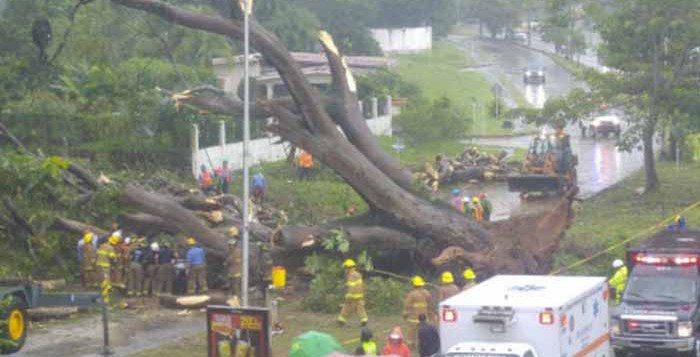 Tormenta Otto deja 4 muertos y un desaparecido en Panamá