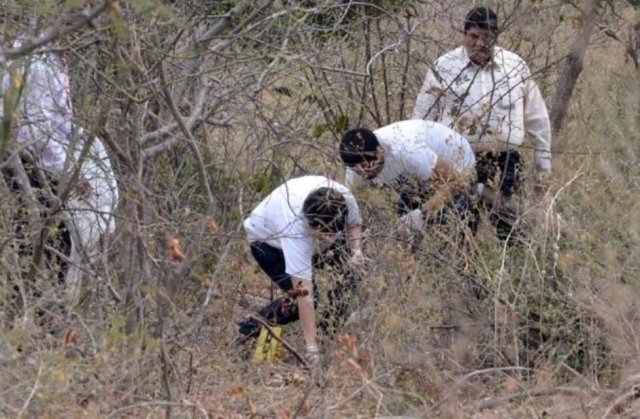 Foto: vanguardia.com.mx