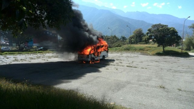 transporte ula