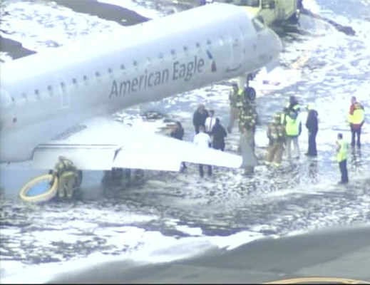 Este avión atropelló a un venado durante el despegue (Fotos)