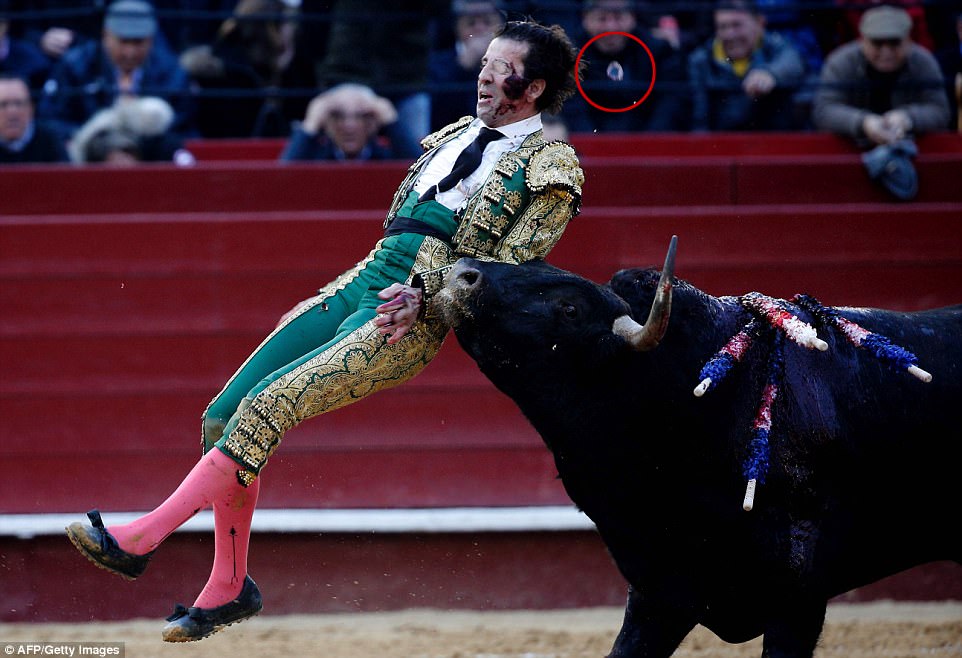 ¿Vas a seguir?… Un toro le sacó el ojo de vidrio al torero que ya le habían arrancado la cara (FOTO)