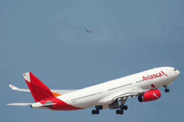 Un avión Airbus A330 de Avianca a poco de despegar del aeropuerto Simón Bolívar en Caracas, oct 23, 2016. El tráfico de pasajeros de Avianca Holdings S.A subió un 4,1 por ciento interanual en febrero por el alza de la demanda en sus rutas internacionales, que contrastó con una leve caída de los vuelos al interior de Colombia, Perú y Ecuador, informó el miércoles la compañía.  REUTERS/Carlos Garcia Rawlins