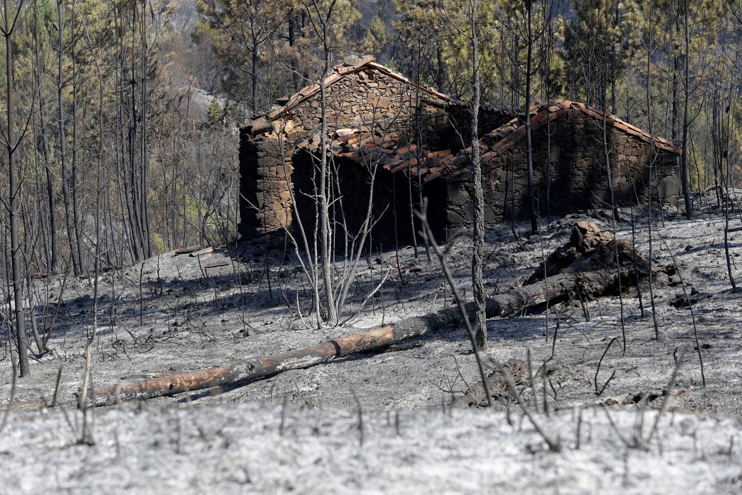 Autoridades portuguesas guardan minuto de silencio por víctimas de incendio