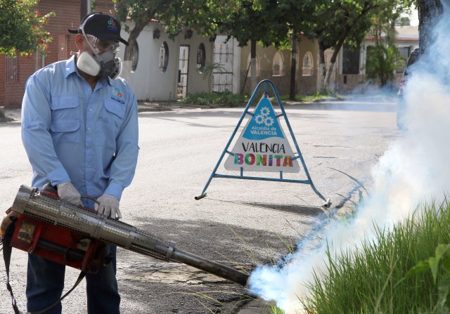 El alcalde de Valencia, Miguel Cocchiola, mantiene activas las cuadrillas de fumigación 