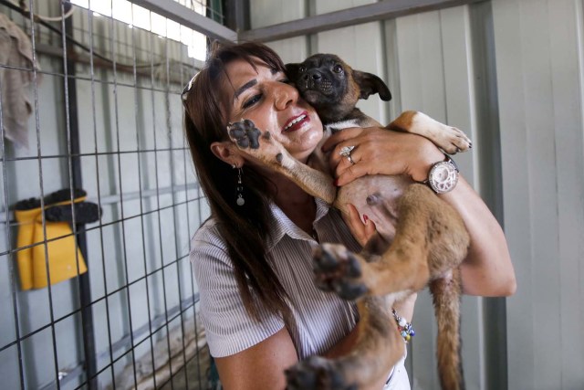 Palestinian Diana Babish, an ex-banker from Bethlehem, carries a dog at the first dog shelter in the West Bank, in the town of Beit Sahour near the biblical city, on August 25, 2017. The shelter, which is now home to around 40 dogs, opened 18 months ago after Diana Babish -- who has no veterinary or medical background -- gave up a 20-year career in banking to devote her life to care for the animals. About 200 puppies and 130 mature dogs have been treated, given affection, fed and prepared for adoption since the shelter opened. / AFP PHOTO / Musa AL SHAER