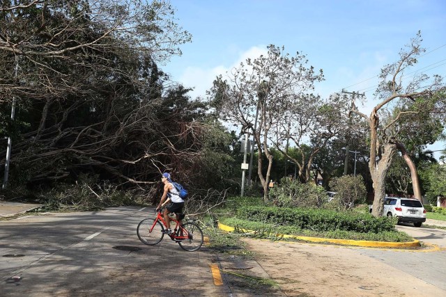 MIAMI, FL - SEPTEMBER 11: People move around branches and trees that were downed when hurricane Irma passed through the area on September 11, 2017 in Miami, Florida. Florida took a direct hit from the Hurricane. Joe Raedle/Getty Images/AFP