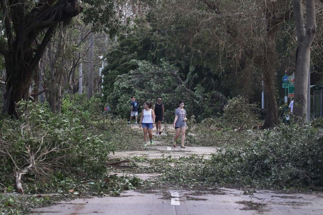 MIAMI, FL - SEPTEMBER 11: People walk around branches and trees that were downed when hurricane Irma passed through the area on September 11, 2017 in Miami, Florida. Florida took a direct hit from the Hurricane. Joe Raedle/Getty Images/AFP