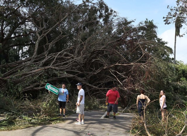 MIAMI, FL - SEPTEMBER 11: People walk around branches and trees that were downed when hurricane Irma passed through the area on September 11, 2017 in Miami, Florida. Florida took a direct hit from the Hurricane. Joe Raedle/Getty Images/AFP