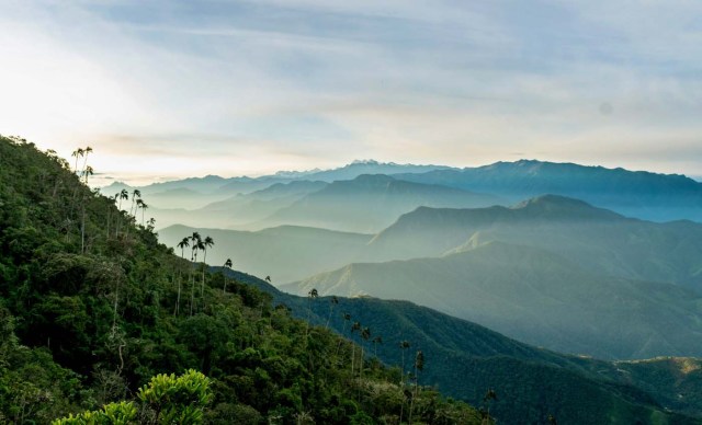 ACOMPAÑA CRÓNICA: COLOMBIA TURISMO. BOG05. BOGOTÁ (COLOMBIA), 27/09/2017.- Fotografía sin fecha cedida por Birding Santa Marta que muestra una vista general de la Sierra Nevada (Colombia). En la Sierra Nevada de Santa Marta, la mayor montaña del mundo frente al mar, hay 28 especies endémicas de pájaros como el "Santa Marta Sabrewing" o el "Blue-Bearded Helmetcrest", que convierten este macizo en un paraíso para el avistamiento de aves y la preservación de especies amenazadas. EFE/BIRDING SANTA MARTA/SOLO USO EDITORIAL/NO VENTAS