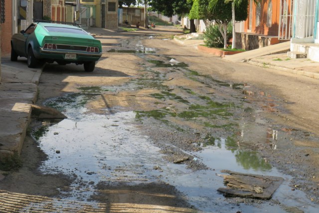 Vecinos de la comunidad de Santa Lucía denuncian botes de aguas negras. /Foto Prensa.