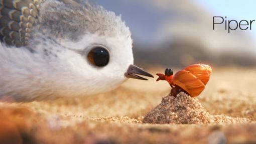 Piper-corto-Pixar-abc-kCpG--510x287@abc