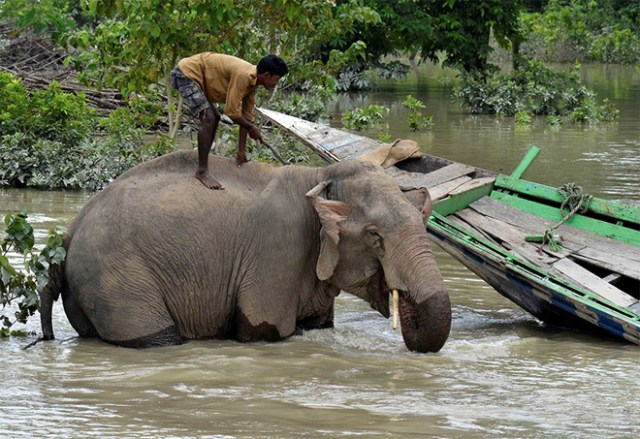 south-asia-flood-nepal-india-pakistan-bangladesh-105-59a917b72a0c1__880