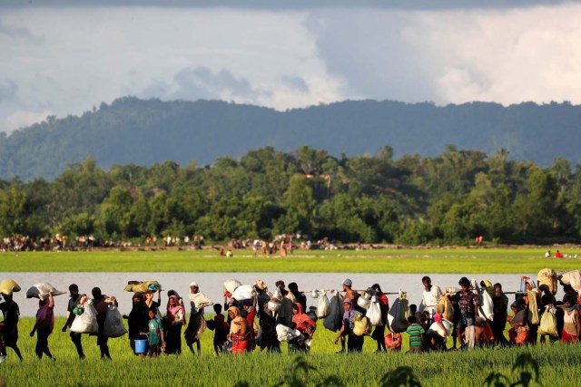 Rohingya refugees, who arrived from Myanmar last night, walk in a rice field after crossing the border in Palang Khali near Cox's Bazaar,  Bangladesh October 9, 2017. REUTERS/Jorge Silva